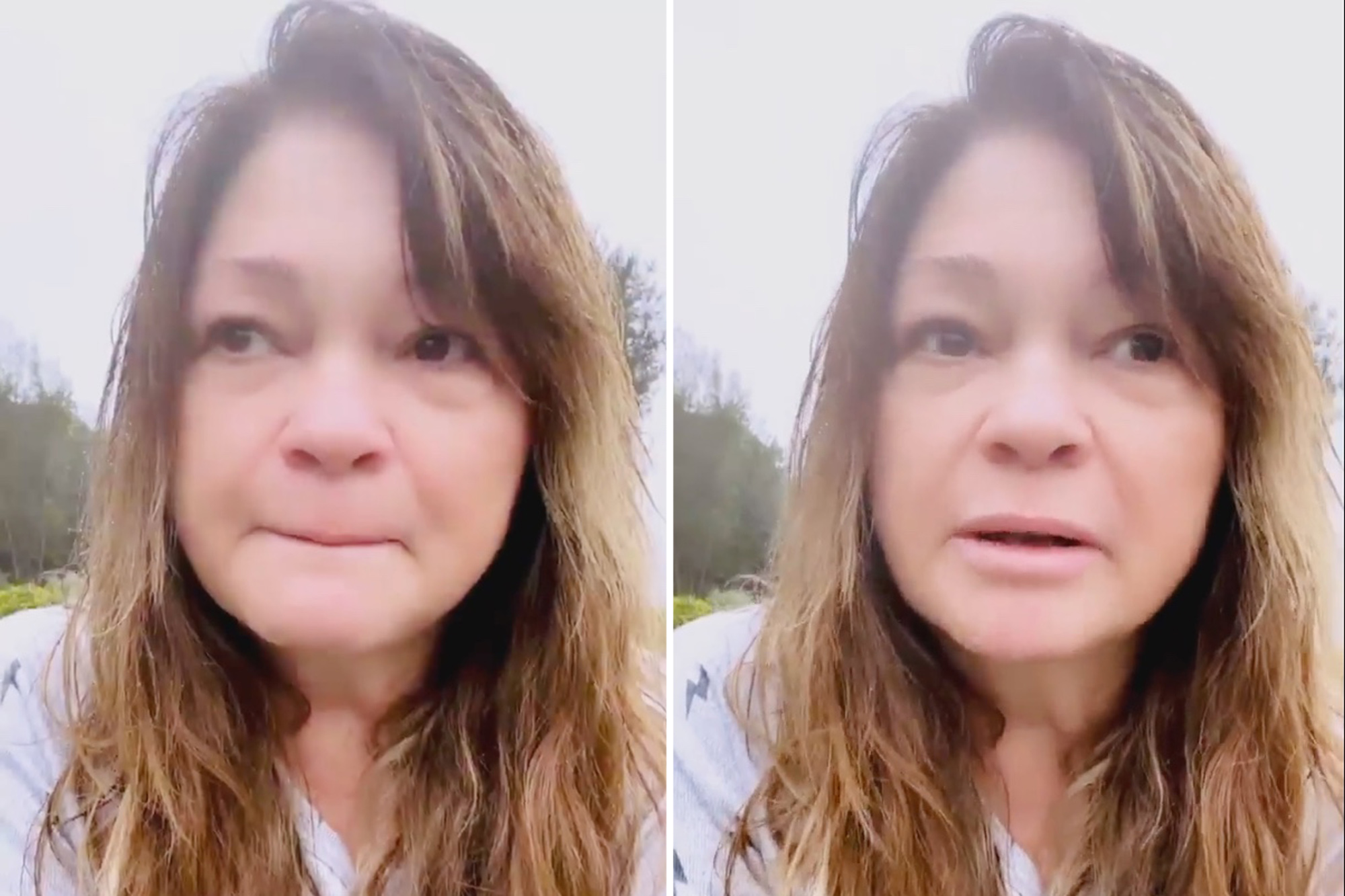 valerie bertinelli look alikes