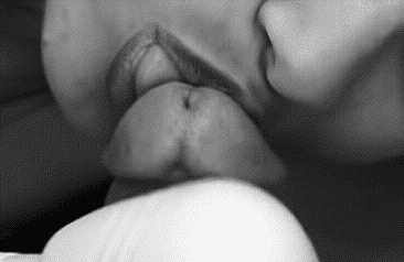 Best of Black and white cumshot gif