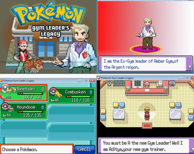 derek restivo recommends pokemon rom hack where you are a gym leader pic