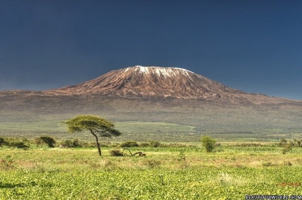 aireen gajilomo recommends predators of kilimanjaro pic