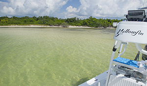 arielle brenner recommends Nude Beaches In Key West Fl