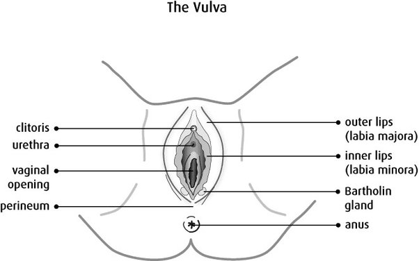 anju rijal share how many holes does a woman have diagram photos