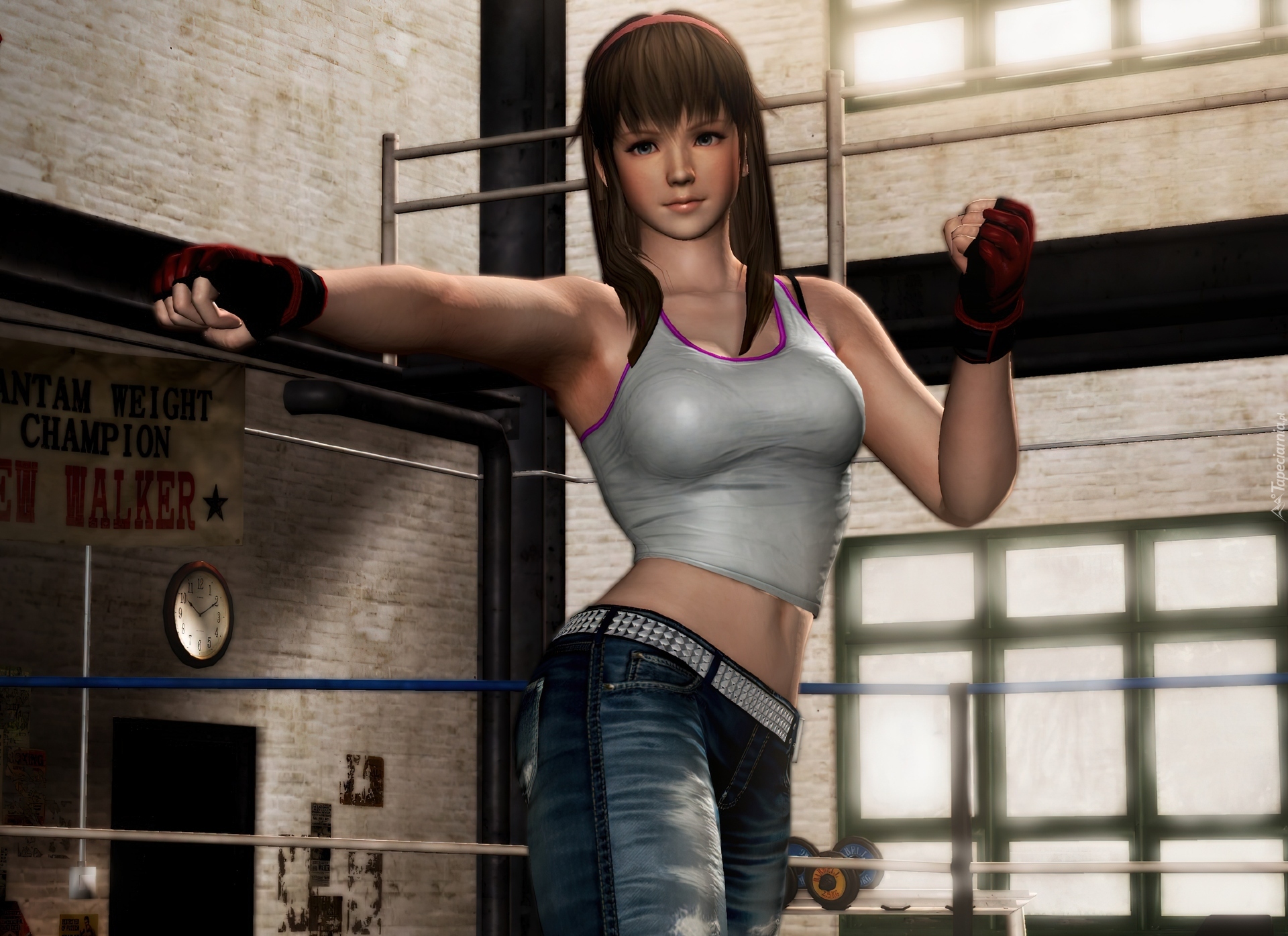 Hitomi Dead Or Alive 5 lines xxx