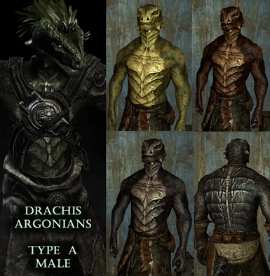 donna froman recommends Skyrim Argonian Texture Mods