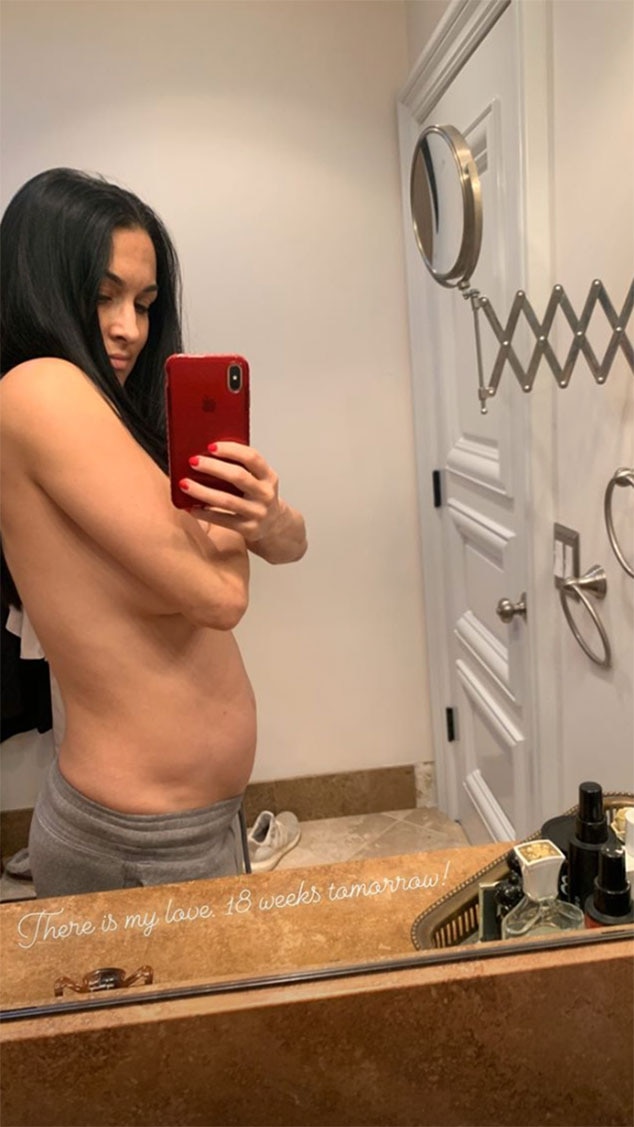 ajay ahluwalia recommends nikki bella boobs real pic