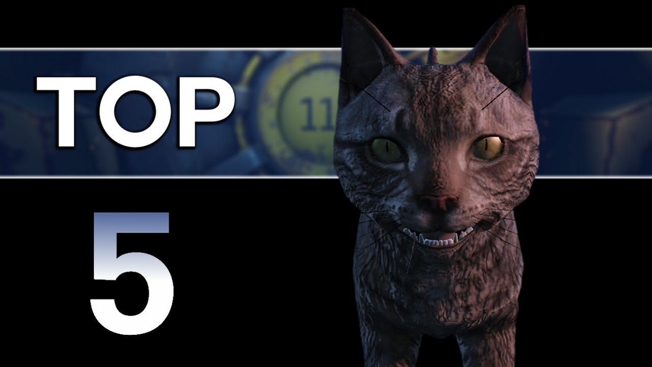 anthony brozek recommends cats in fallout 4 pic