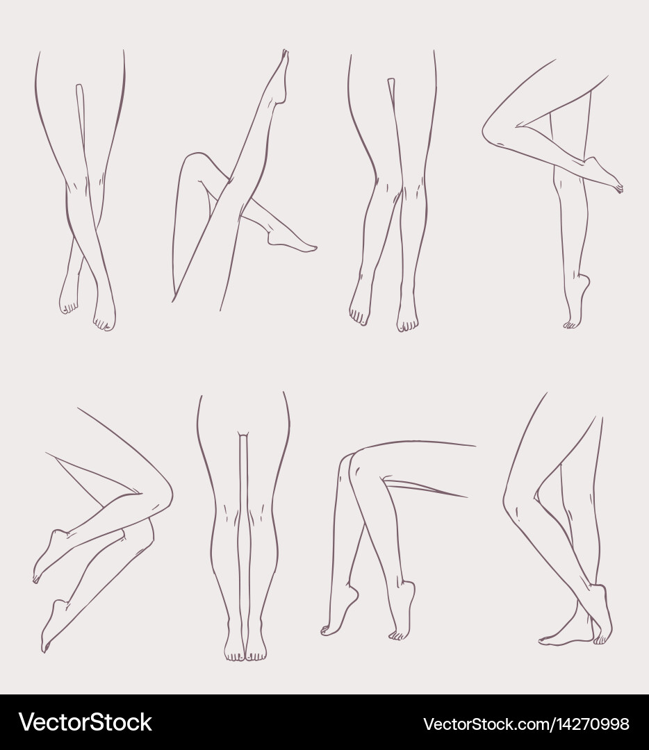 craig meyrick recommends leg images female pic