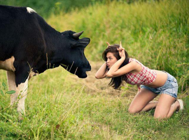 bill malin recommends girl has sex with cow pic