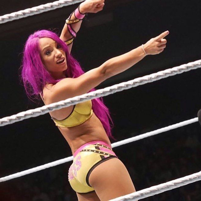 andrew cearley recommends Wwe Divas Ass Pics