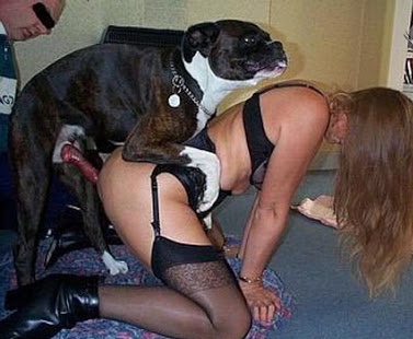 amylia lee share sexo mujeres con perros photos