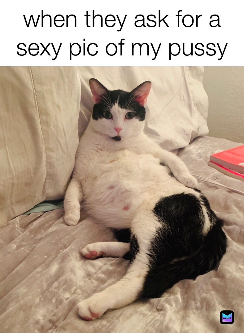 alyssa marie suarez share big pussy memes photos