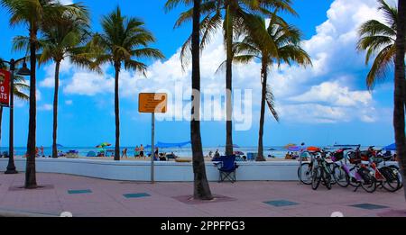 alice sole recommends ts in fort lauderdale pic