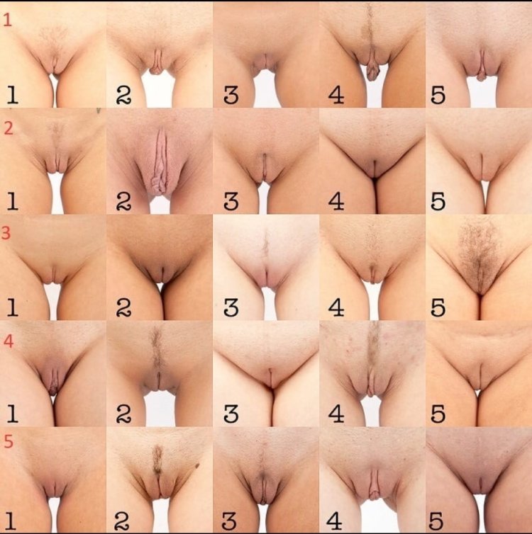 andy nong recommends types of vagina porn pic