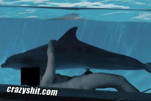 arniel madrona regacho add girls fucking dolphins photo