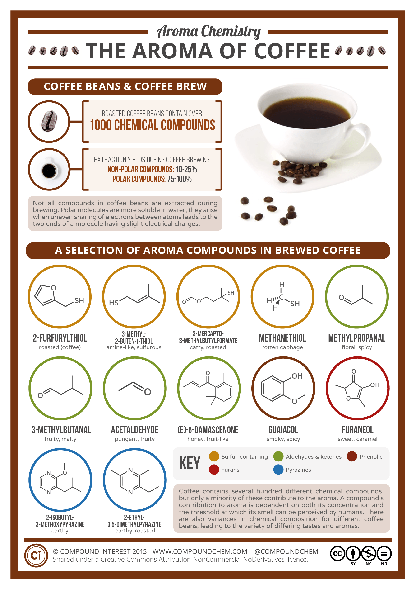 chiem saechao recommends the coffee was good but what about this porn pic