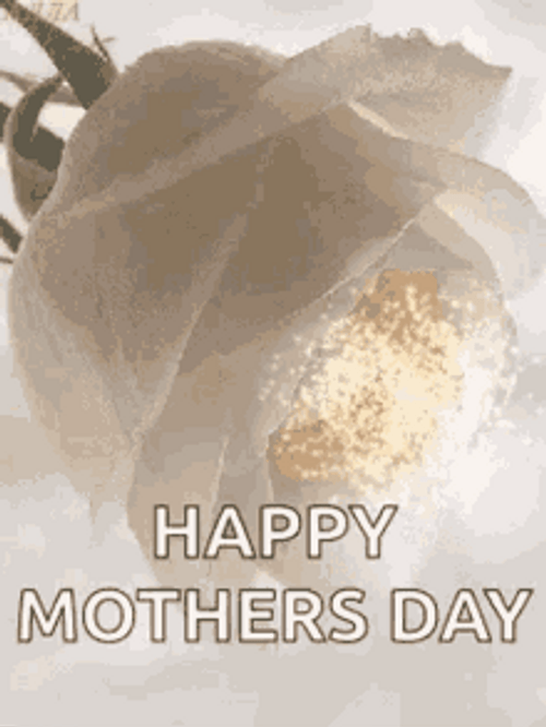 daniel lerer add photo happy first mothers day gif