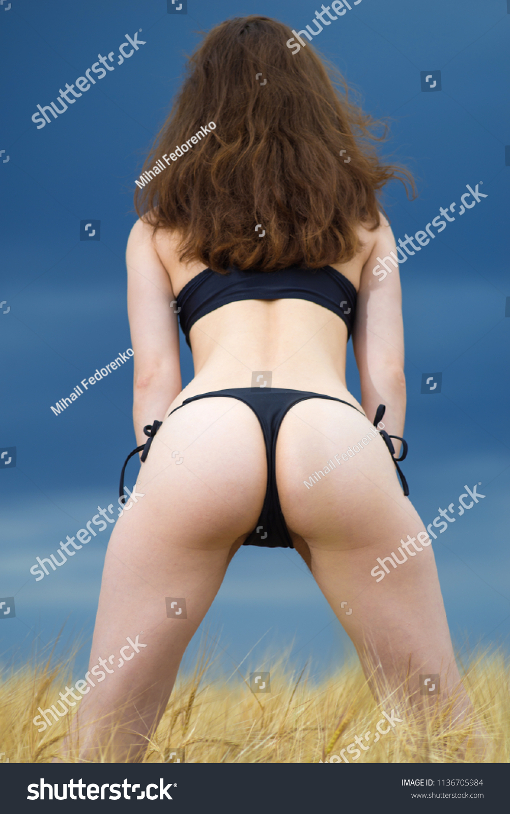 amesha haynes recommends hot ass in bikini pic