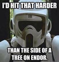 Id Hit That Like A Tree On Endor house michigan