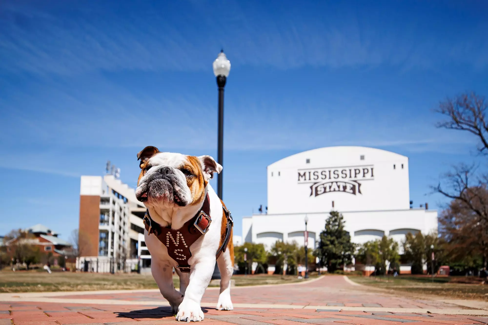 barbara carini recommends skip the game mississippi pic