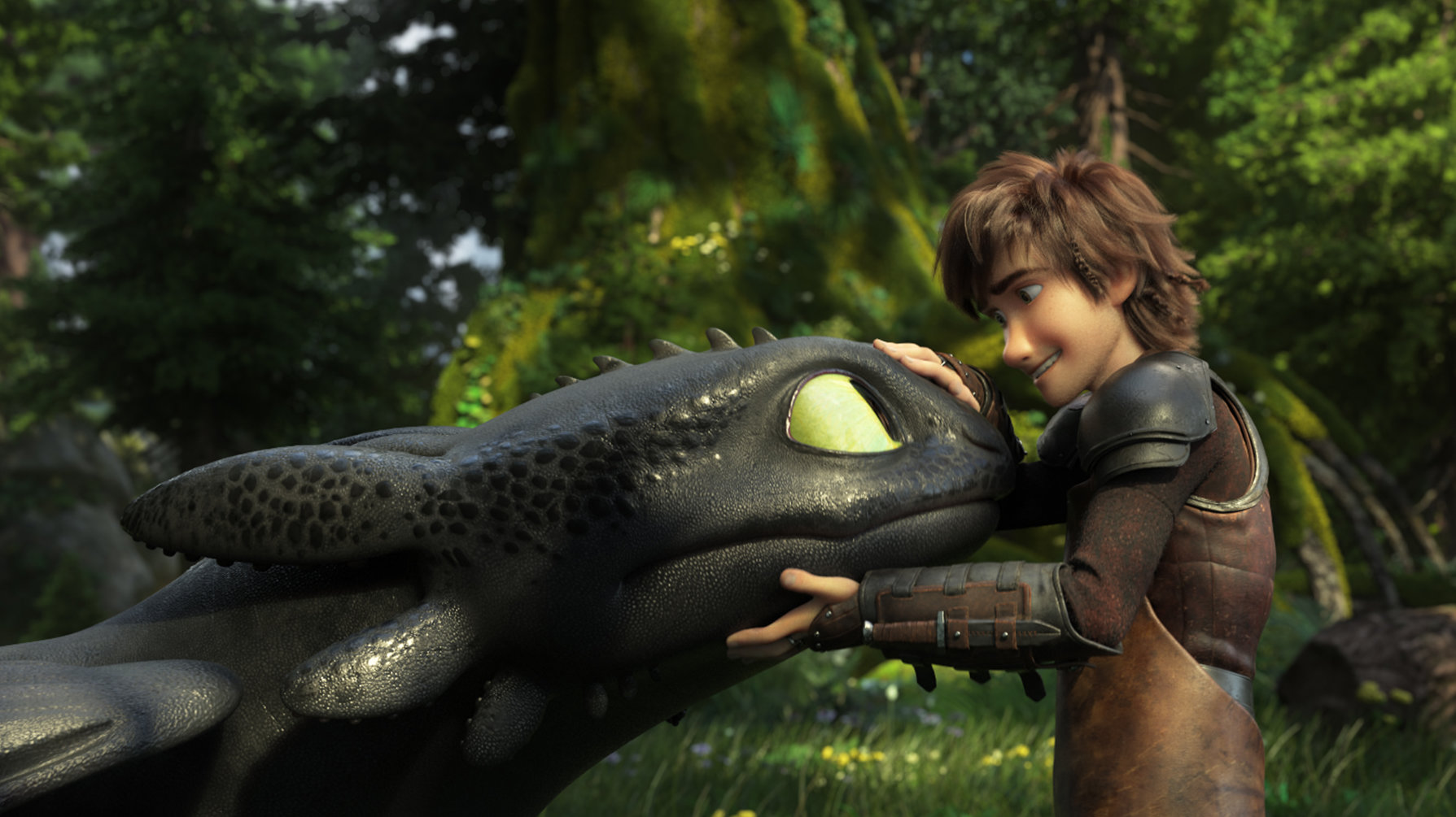 dan hagey add photo how to train your dragon images of toothless