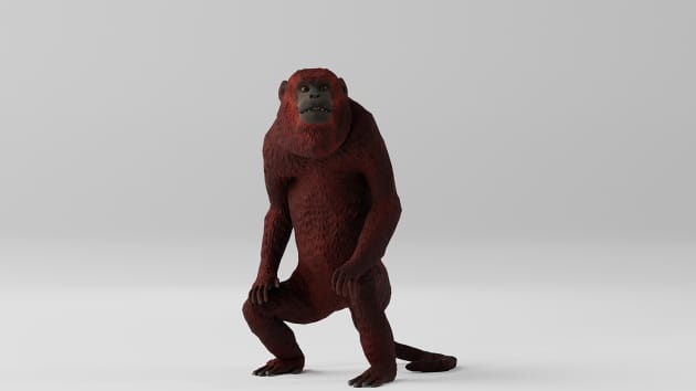 ashley krise recommends 3 Orangutans 1 Blender Video