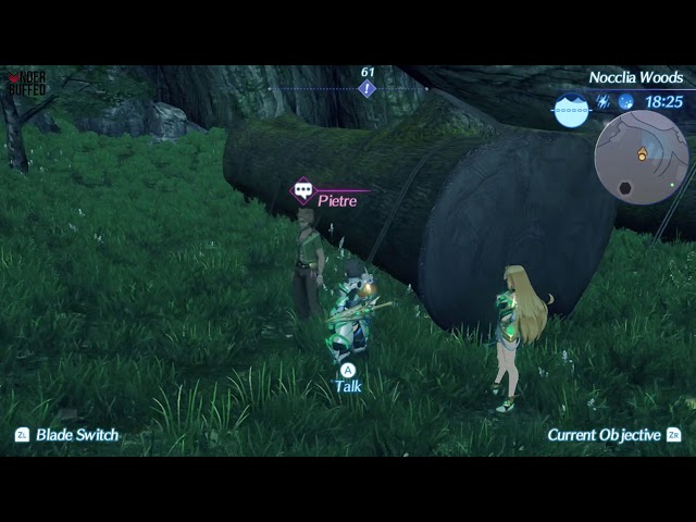 xenoblade chronicles 2 who was scoping out the site