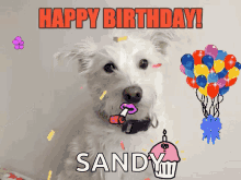 darren collison recommends happy birthday sandy gif pic