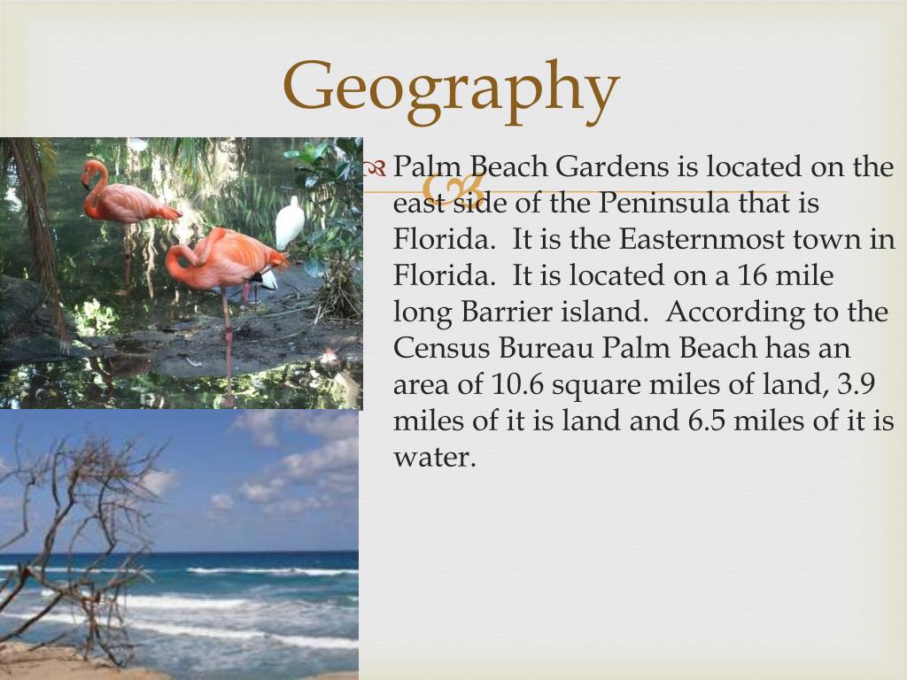 caroline masson recommends backpage palm beach gardens pic