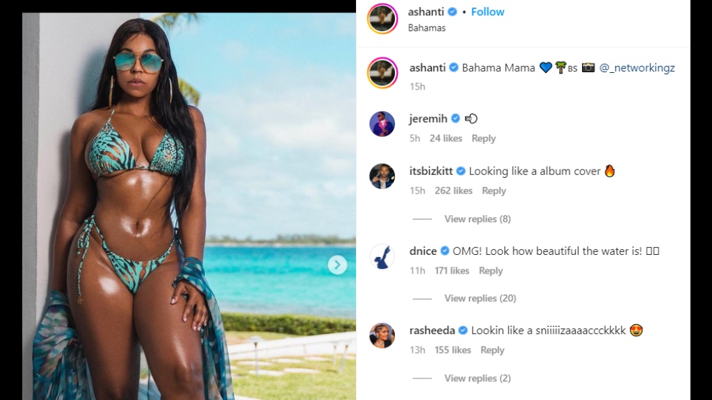christine chubb recommends Ashanti In A Thong