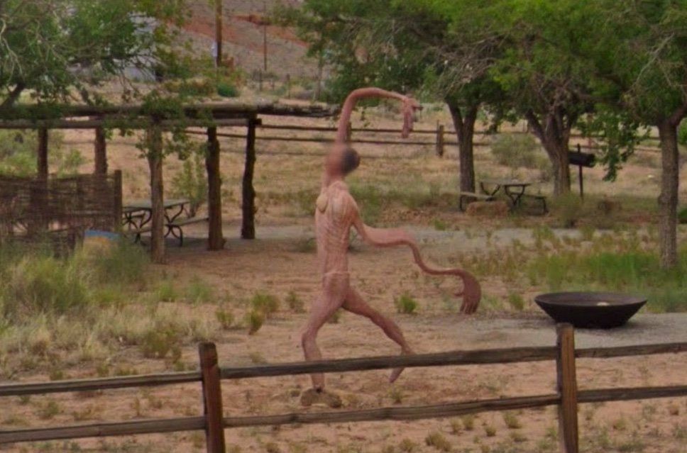amanda heminger recommends Google Street View Nudity