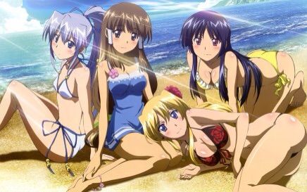 david sikora add photo top 10 harem ecchi anime