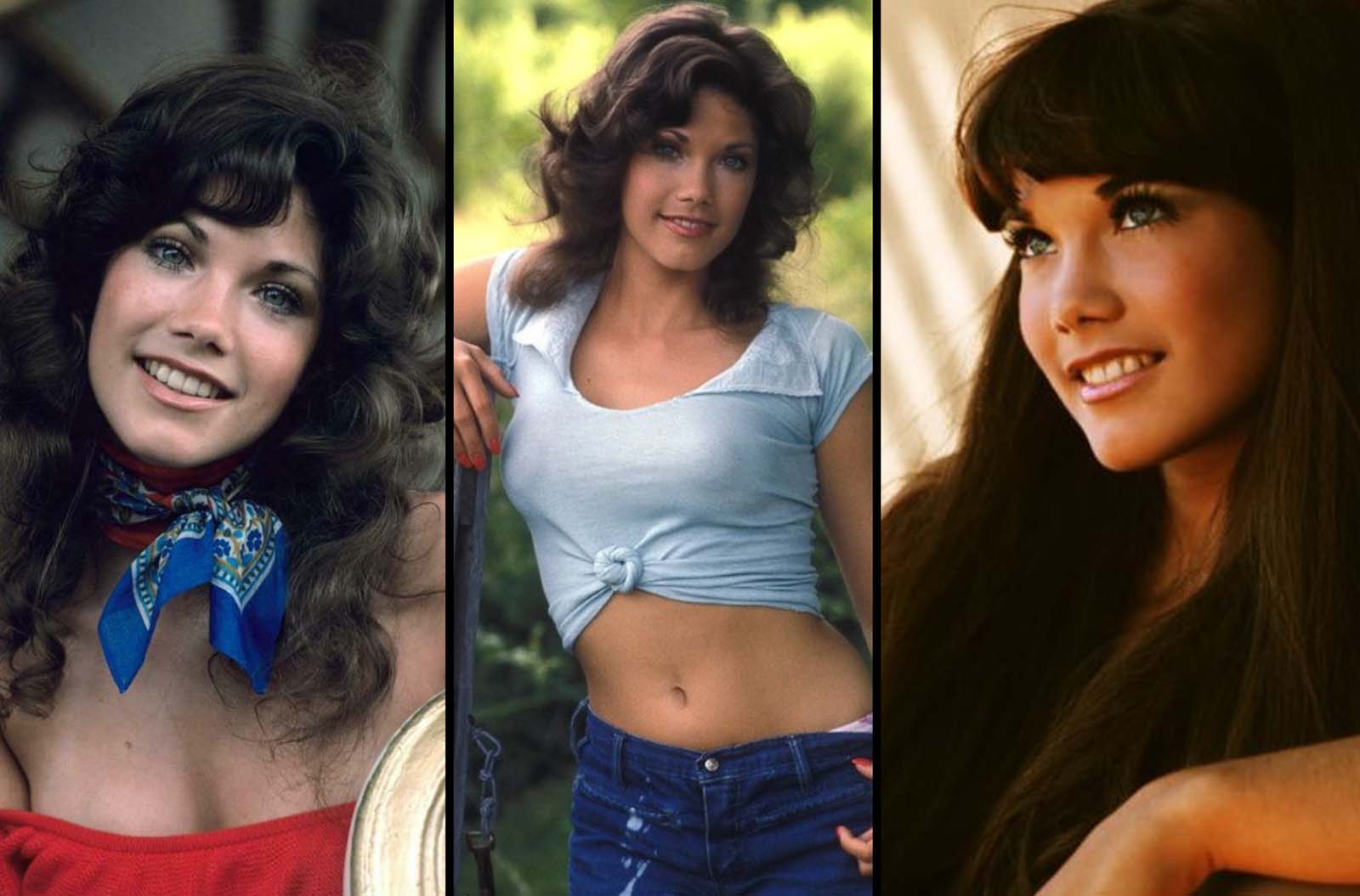 colin persson recommends Pictures Of Barbi Benton