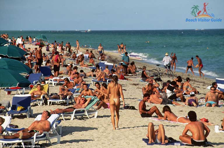 Best of Nudist beach in miami florida