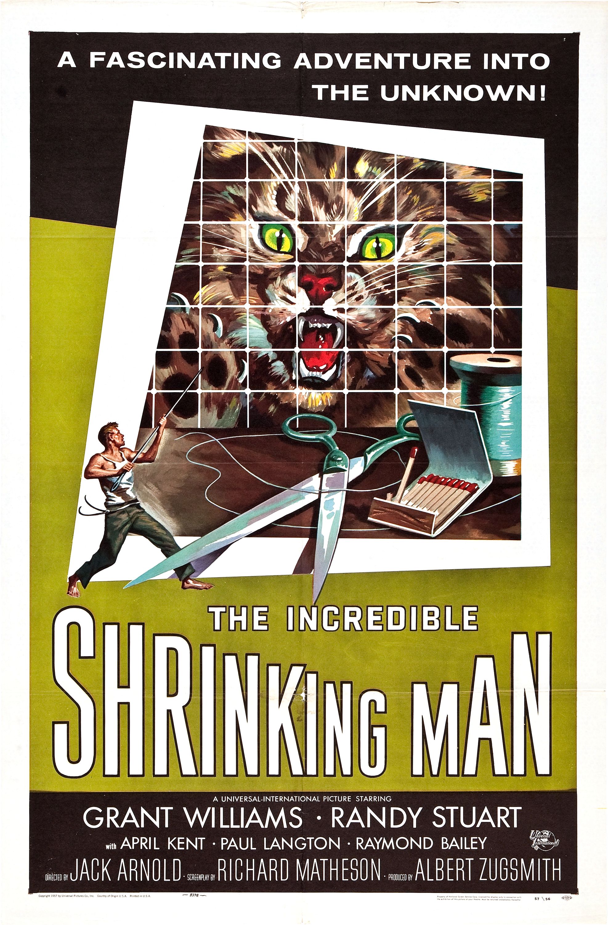 the oedipal shrinking man