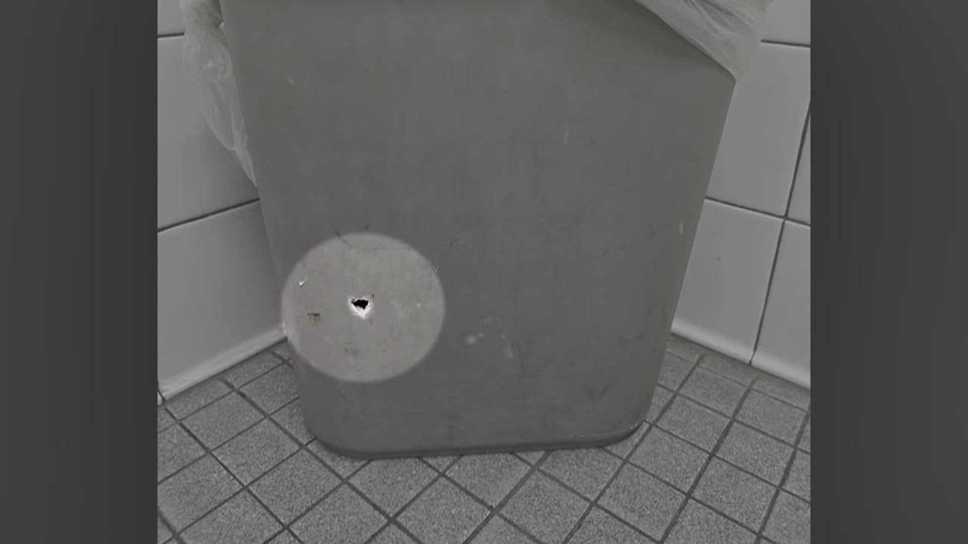 danielle alchin recommends hidden camera in public bathroom pic