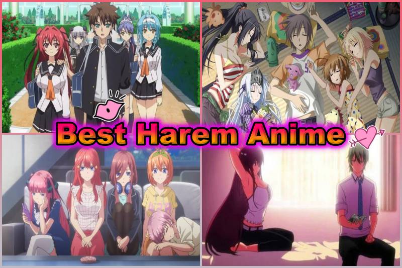 andile dunga recommends Top 10 Harem Ecchi Anime