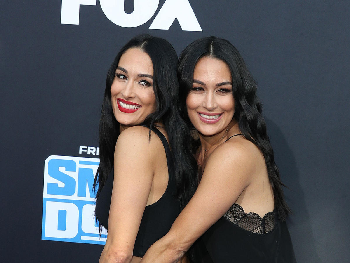ayush porwal recommends Brie And Nikki Bella Nude