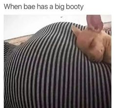 beth littlejohn recommends Big Butt Meme