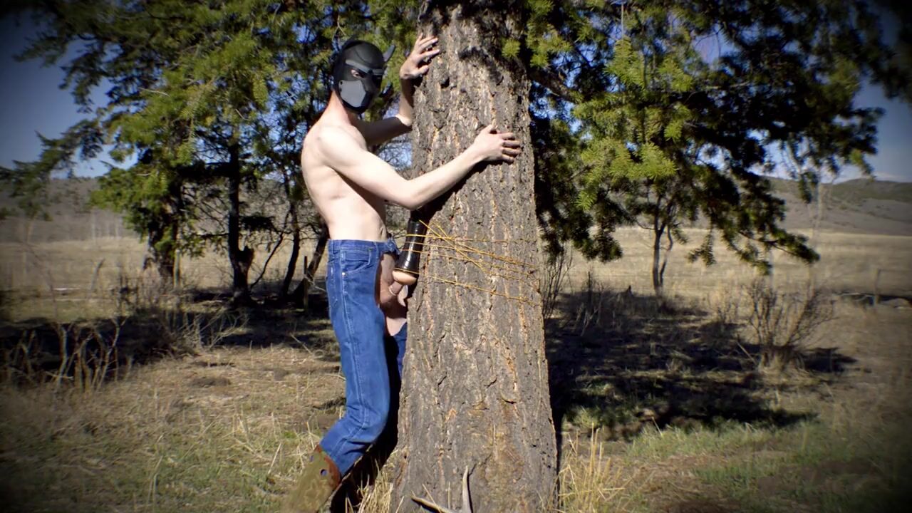 fucking in a tree