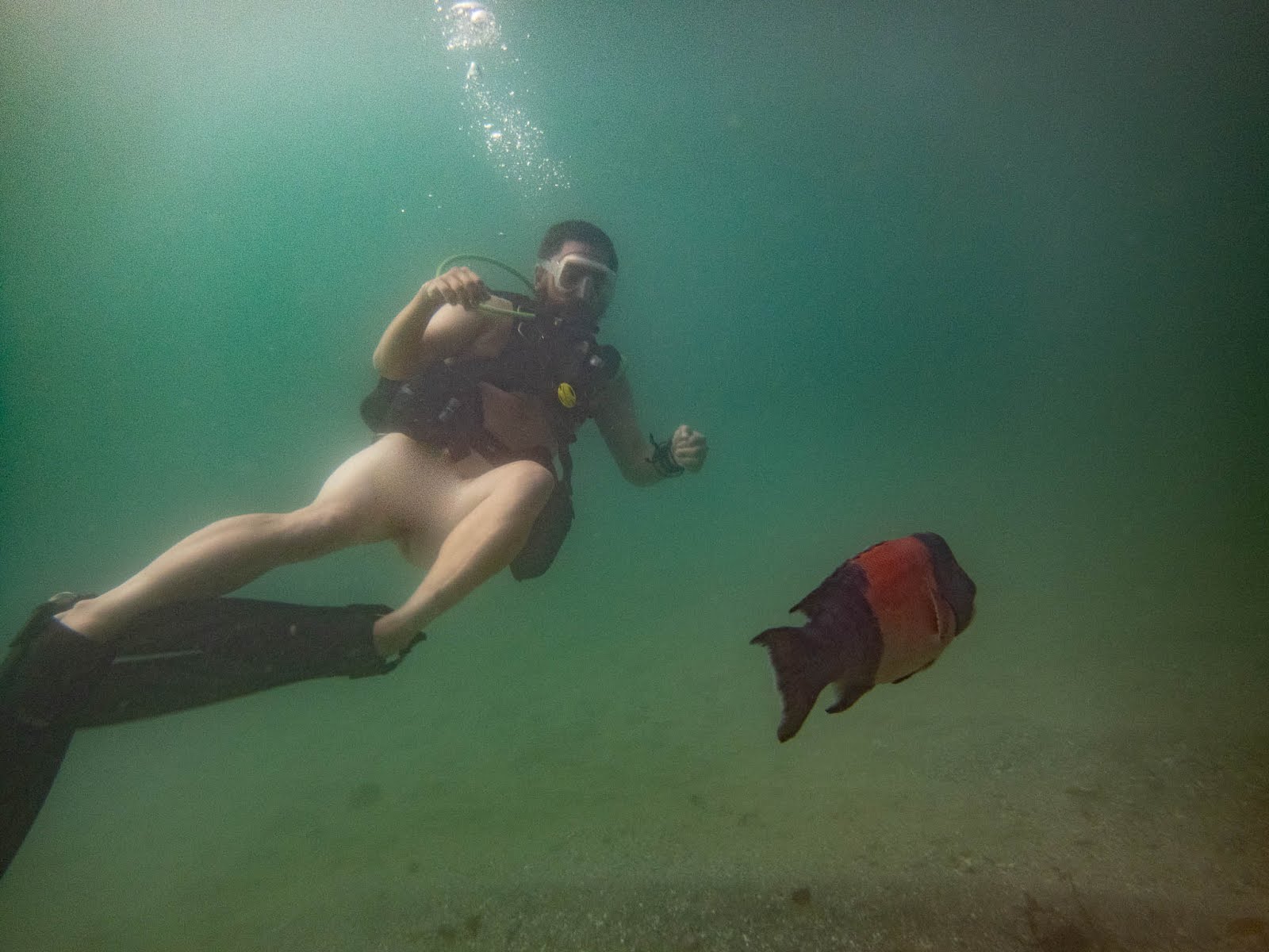 nude scuba diving