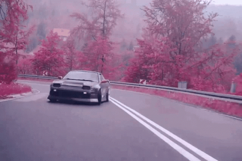 carrie teo recommends car drifting gif pic