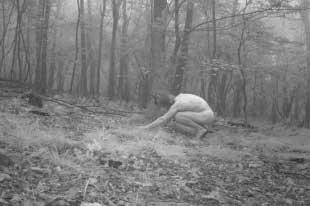 Best of Trail cam sex