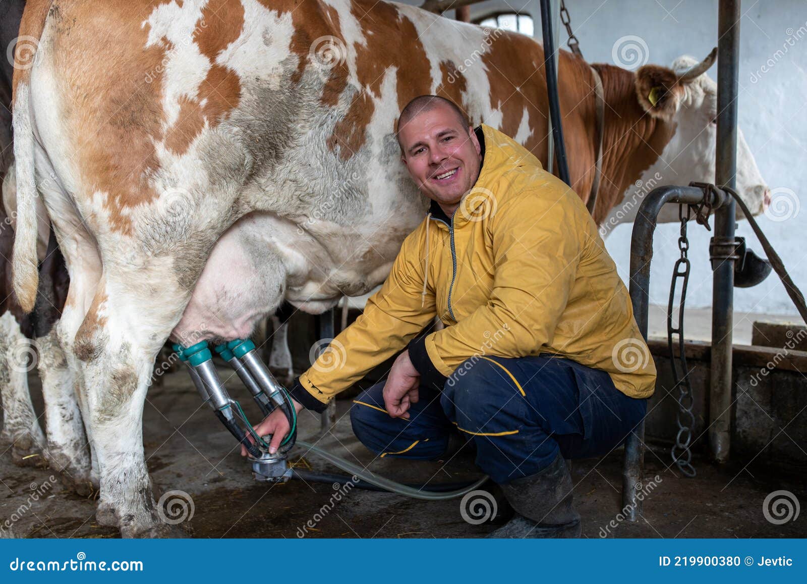 doug rines recommends Man Using Milking Machine