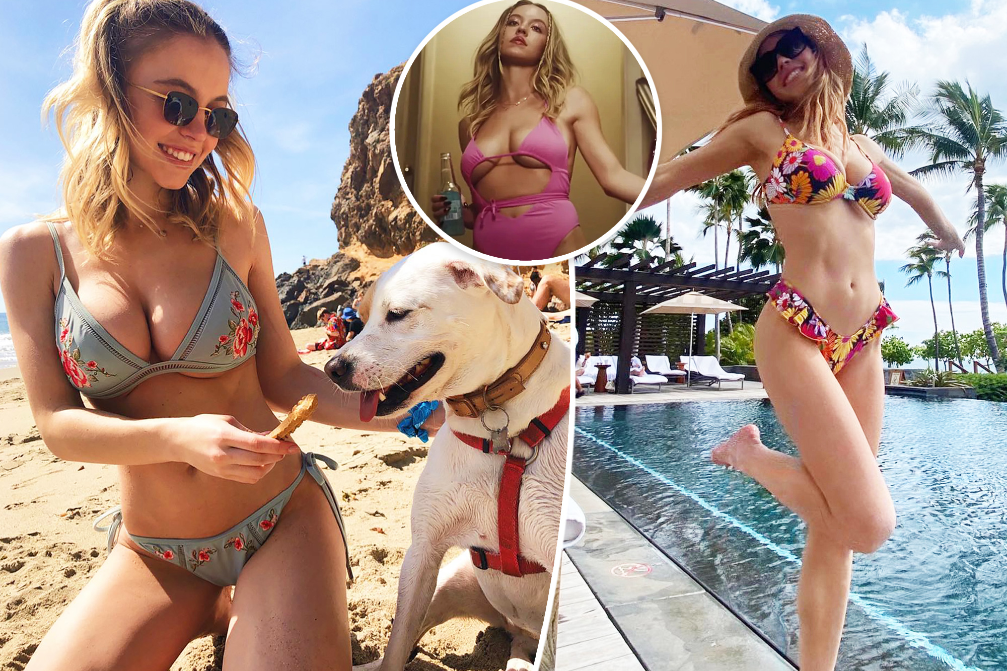 cynthia gerardi recommends stephanie abrams bikini pics pic