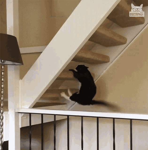 Best of Walking up stairs gif