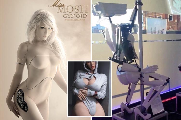 abdul rahoof recommends sex with sex robot porn pic