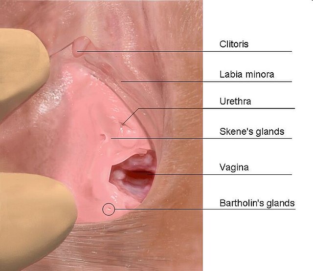 How To Cum Farther decker porn