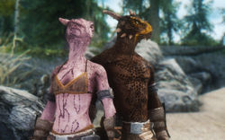 ashu nayak recommends skyrim argonian texture mods pic