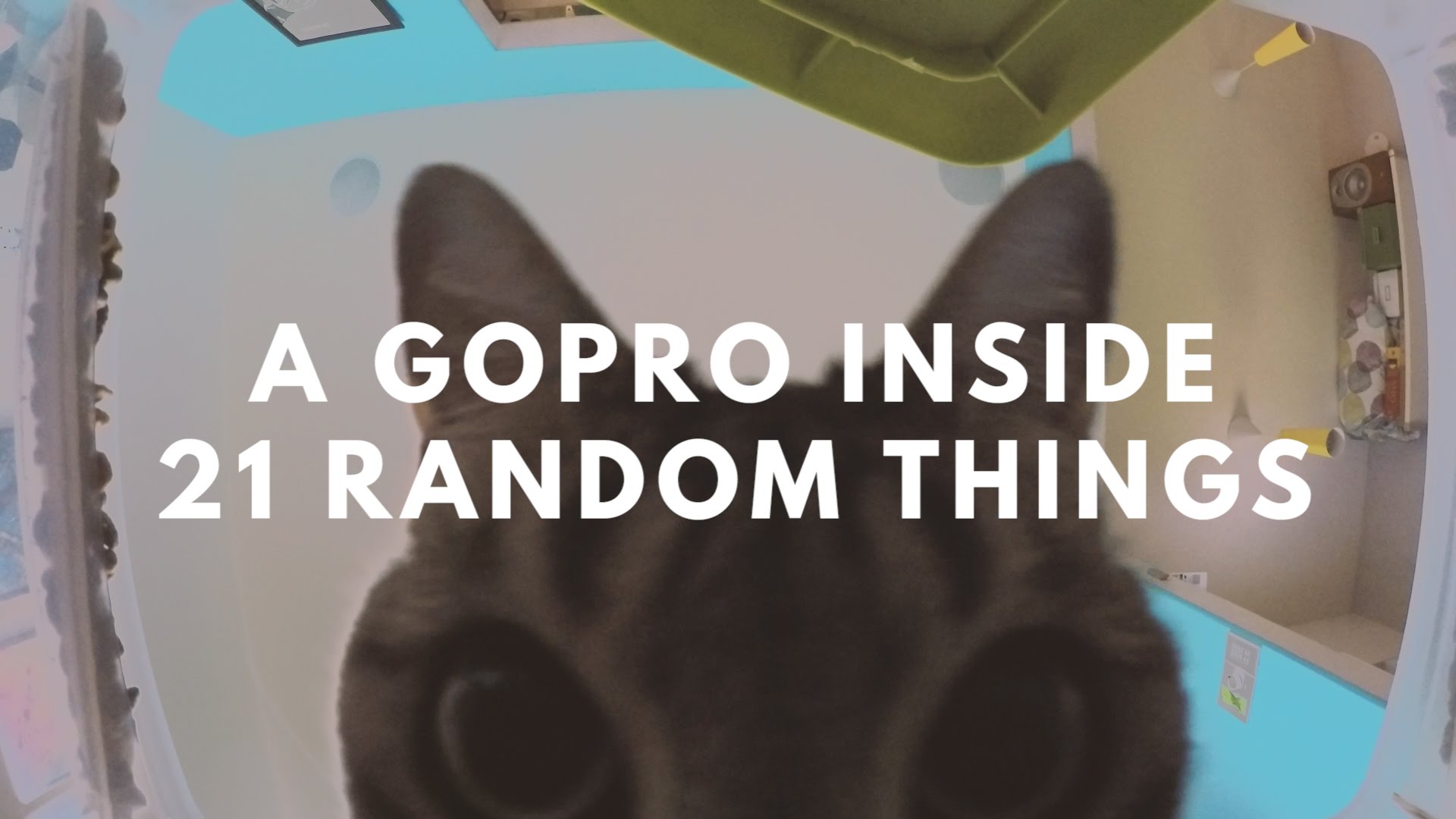 charmaine paterson recommends How To Hide A Gopro In A Room