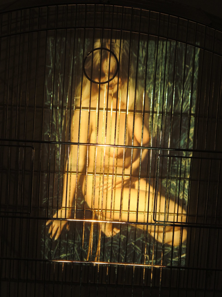 bledar sadushi recommends naked girl in cage pic